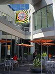CIMG5955.jpg