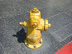 CIMG5959.jpg