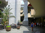 CIMG6026.jpg
