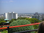CIMG6115.jpg