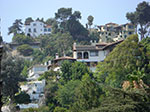 CIMG6123.jpg