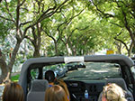 CIMG6126.jpg