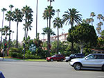CIMG6192.jpg