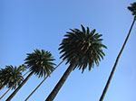 CIMG6194.jpg