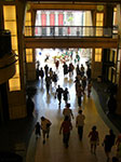 CIMG6334.jpg