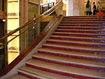 CIMG6345.jpg