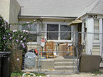 CIMG6508.jpg