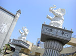 CIMG6530.jpg