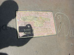 CIMG6542.jpg
