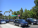CIMG6594.jpg
