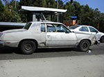 CIMG6602.jpg