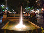 CIMG6855.jpg