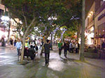 CIMG6875.jpg