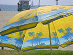 CIMG6971.jpg