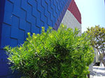 CIMG7314.jpg