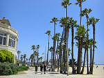 CIMG7320.jpg