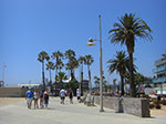 CIMG7336.jpg