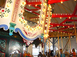 CIMG7362.jpg