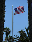 CIMG7379.jpg