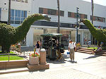 CIMG7391.jpg