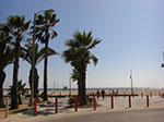 CIMG7411.jpg
