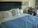 CIMG7650.jpg