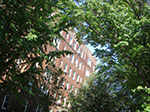 CIMG7850.jpg