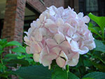 CIMG7851.jpg