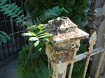 CIMG7857.jpg