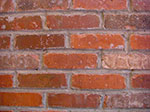CIMG7860.jpg