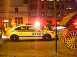 CIMG7979.jpg