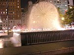 CIMG7989.jpg