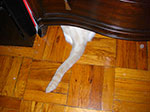 CIMG8025.jpg
