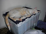 CIMG8054.jpg