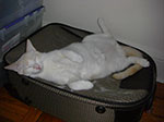 CIMG8056.jpg