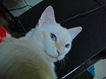 CIMG8249.jpg