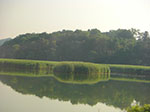 CIMG8312.jpg
