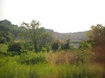 CIMG8314.jpg