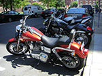 CIMG8340.jpg
