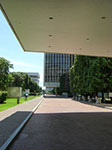 CIMG8359.jpg
