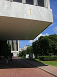 CIMG8403.jpg