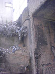 CIMG8424.jpg