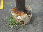 CIMG8540.jpg