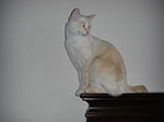 CIMG8543.jpg