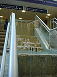 CIMG8557.jpg