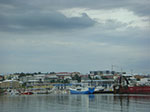CIMG8610.jpg