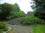 CIMG8615.jpg