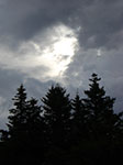 CIMG8617.jpg