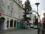 CIMG8630.jpg