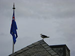 CIMG8636.jpg